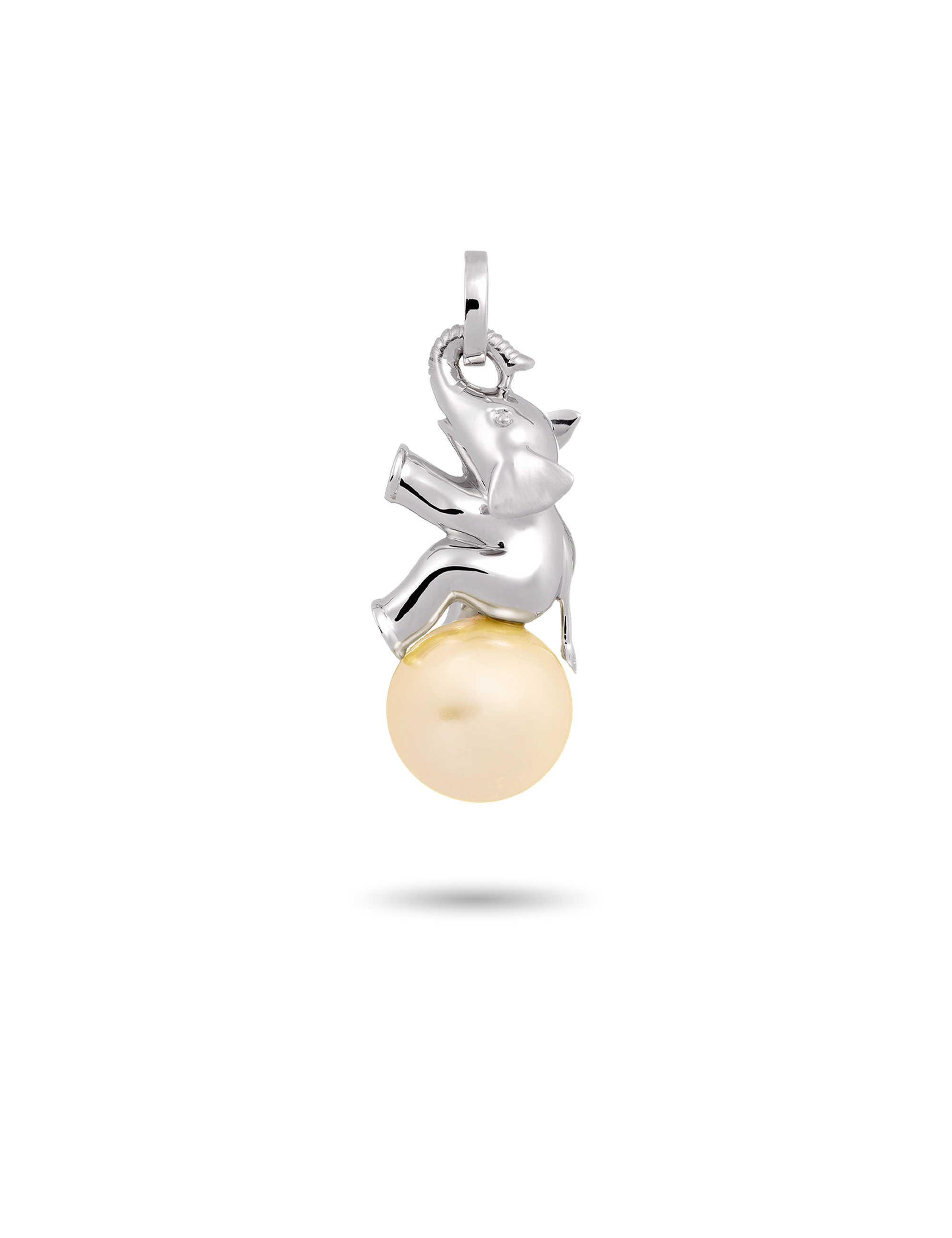 #Muschelkernperle_gelb