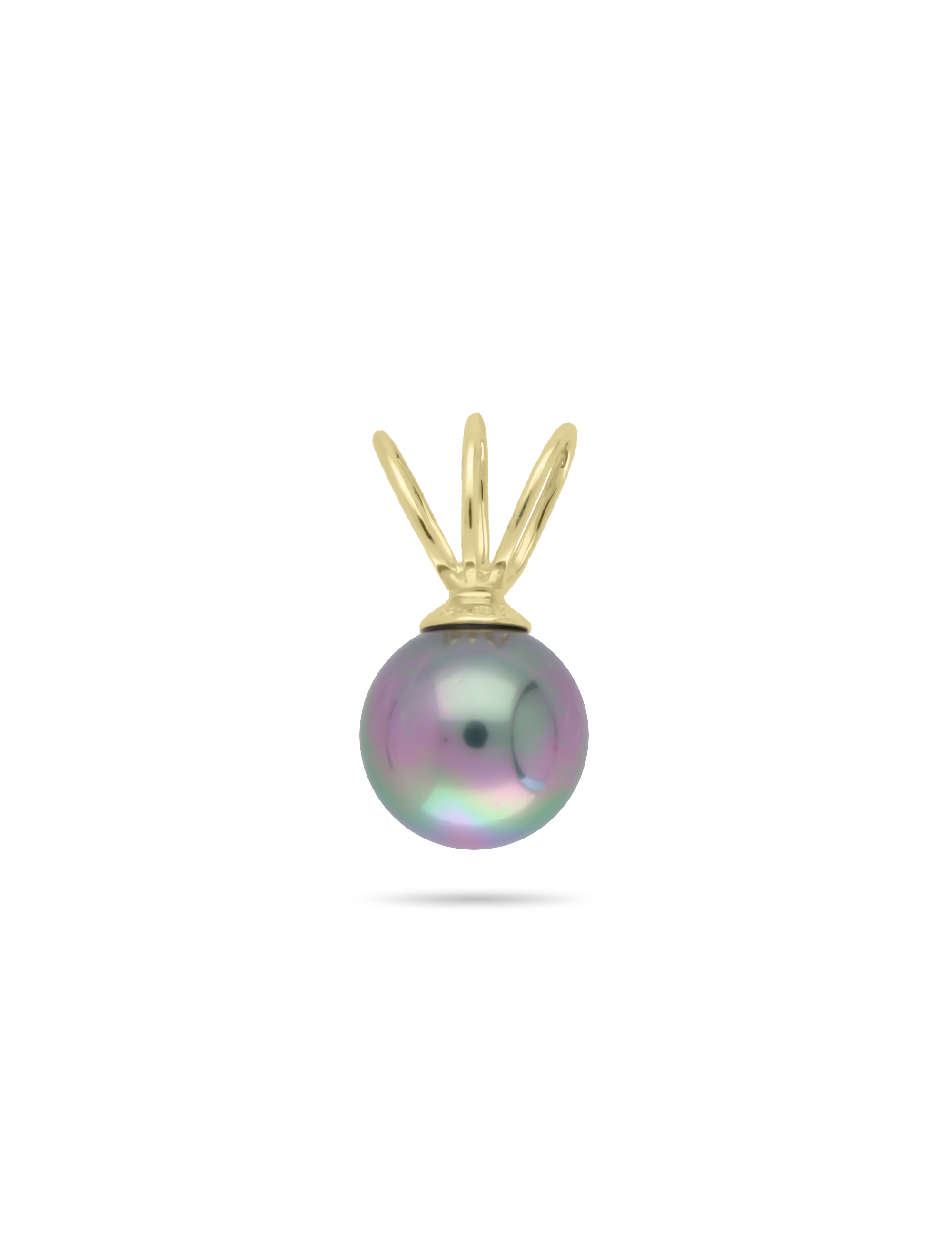 #Muschelkernperle_peacock