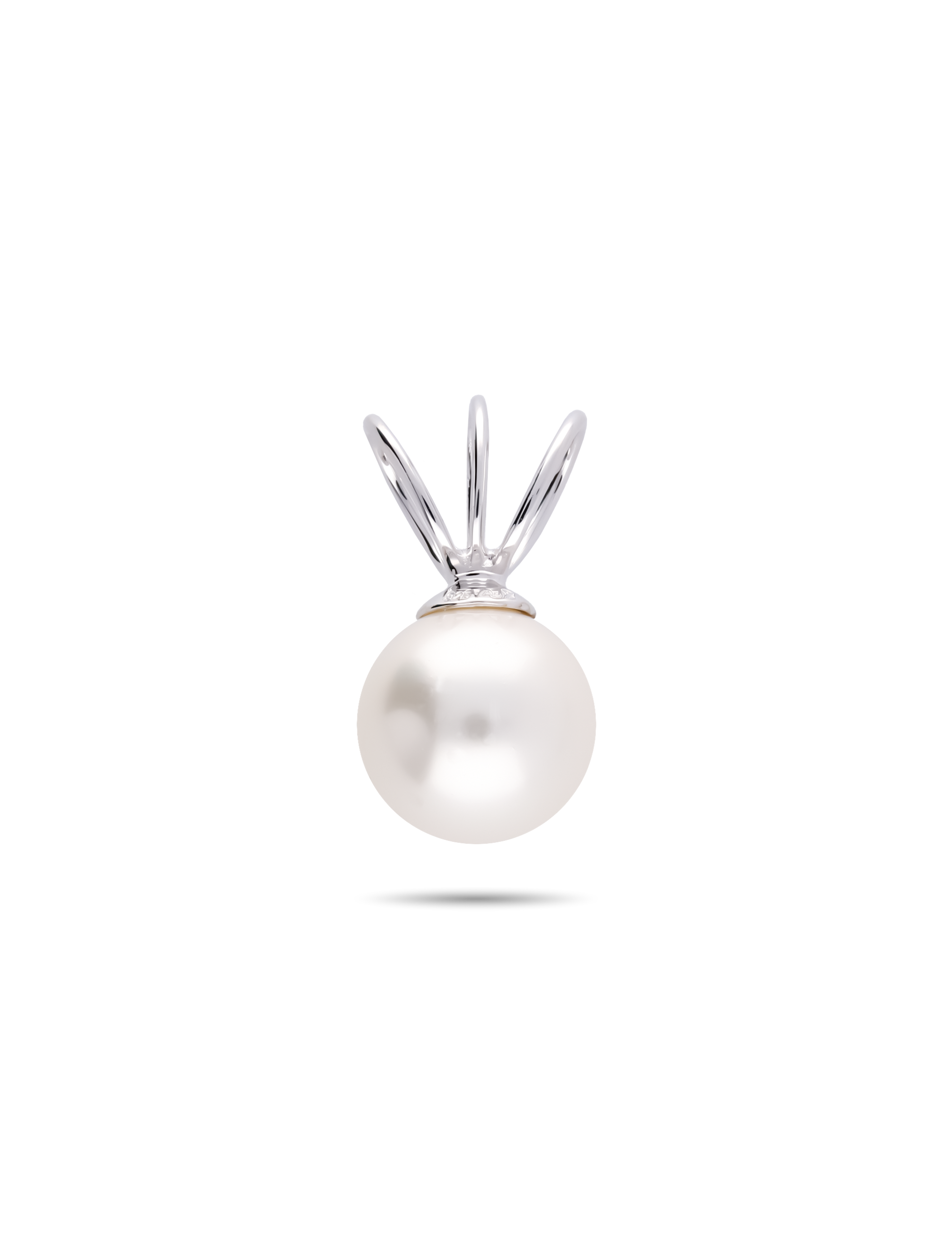 #Muschelkernperle_weiß