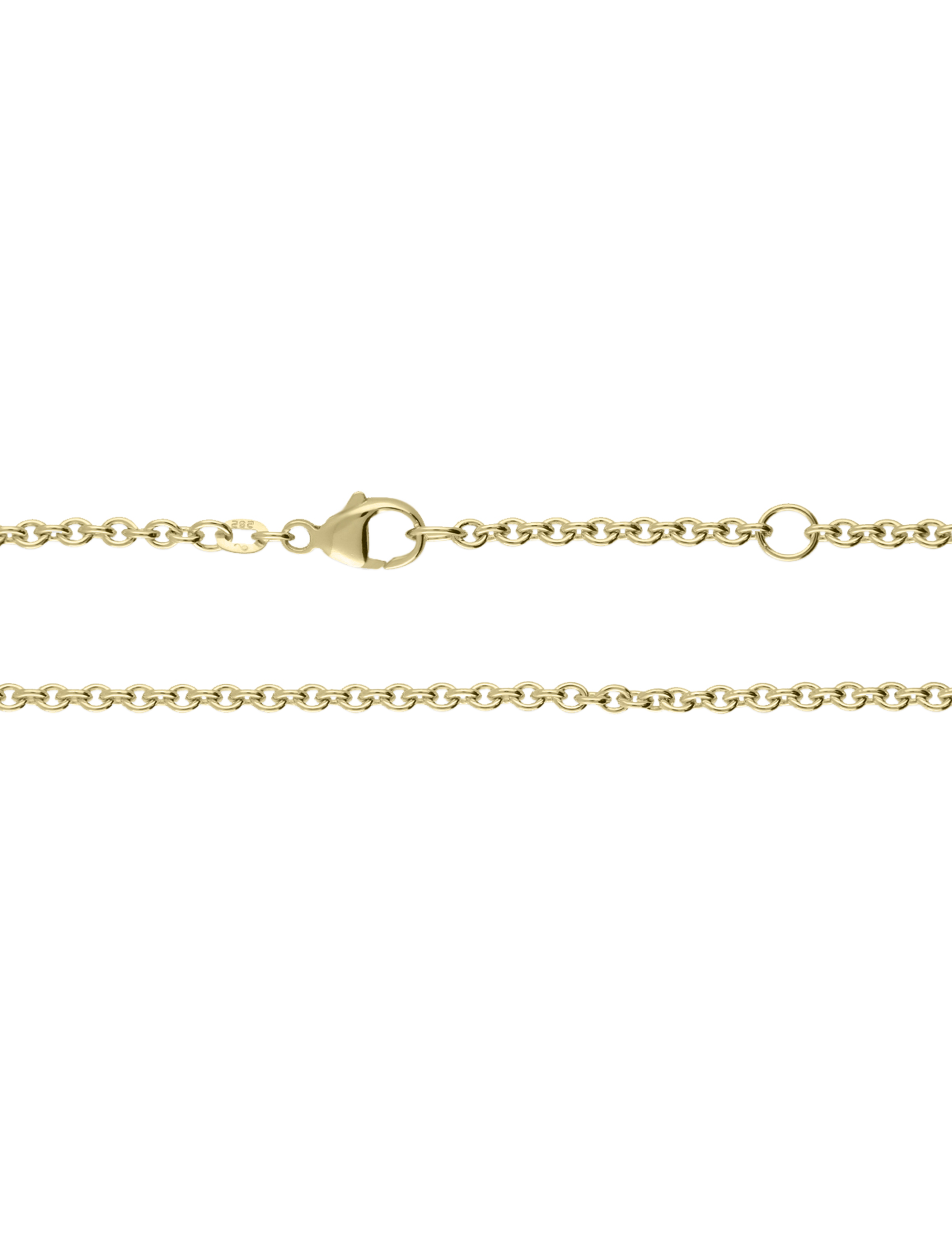 Premium Ankerkette 585 Gelbgold 45cm_46265_1